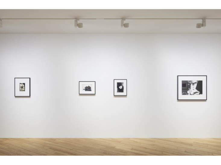 グループ展　"My Flower"　展示風景