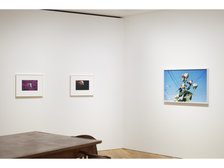 グループ展　"My Flower"　展示風景