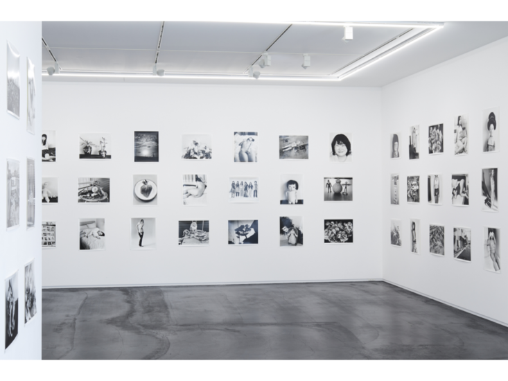 荒木経惟　"恋愛 愛無"　展示風景