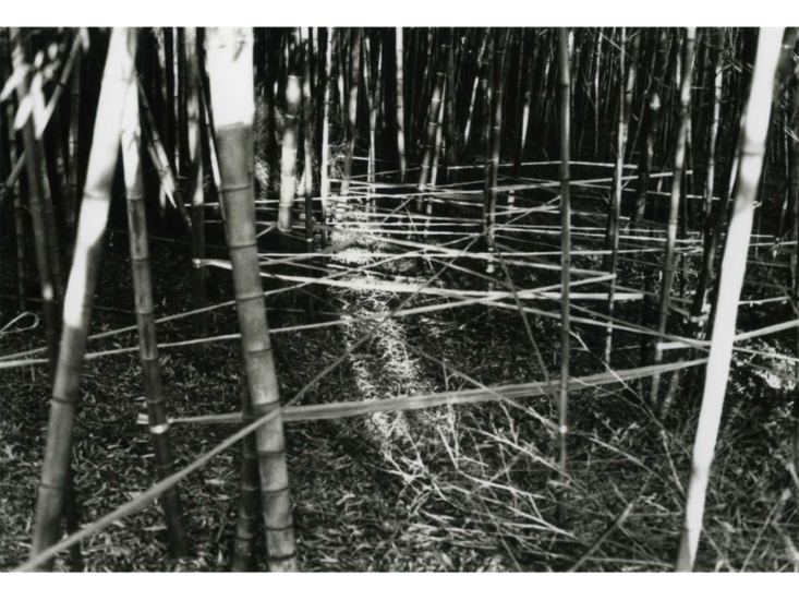 戸谷成雄《竹藪Ⅱ》1975