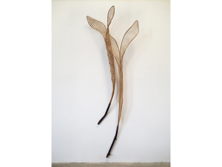 Sopheap Pich　"Bauhinia Purpurea（ムラサキシソンカ）"　2022