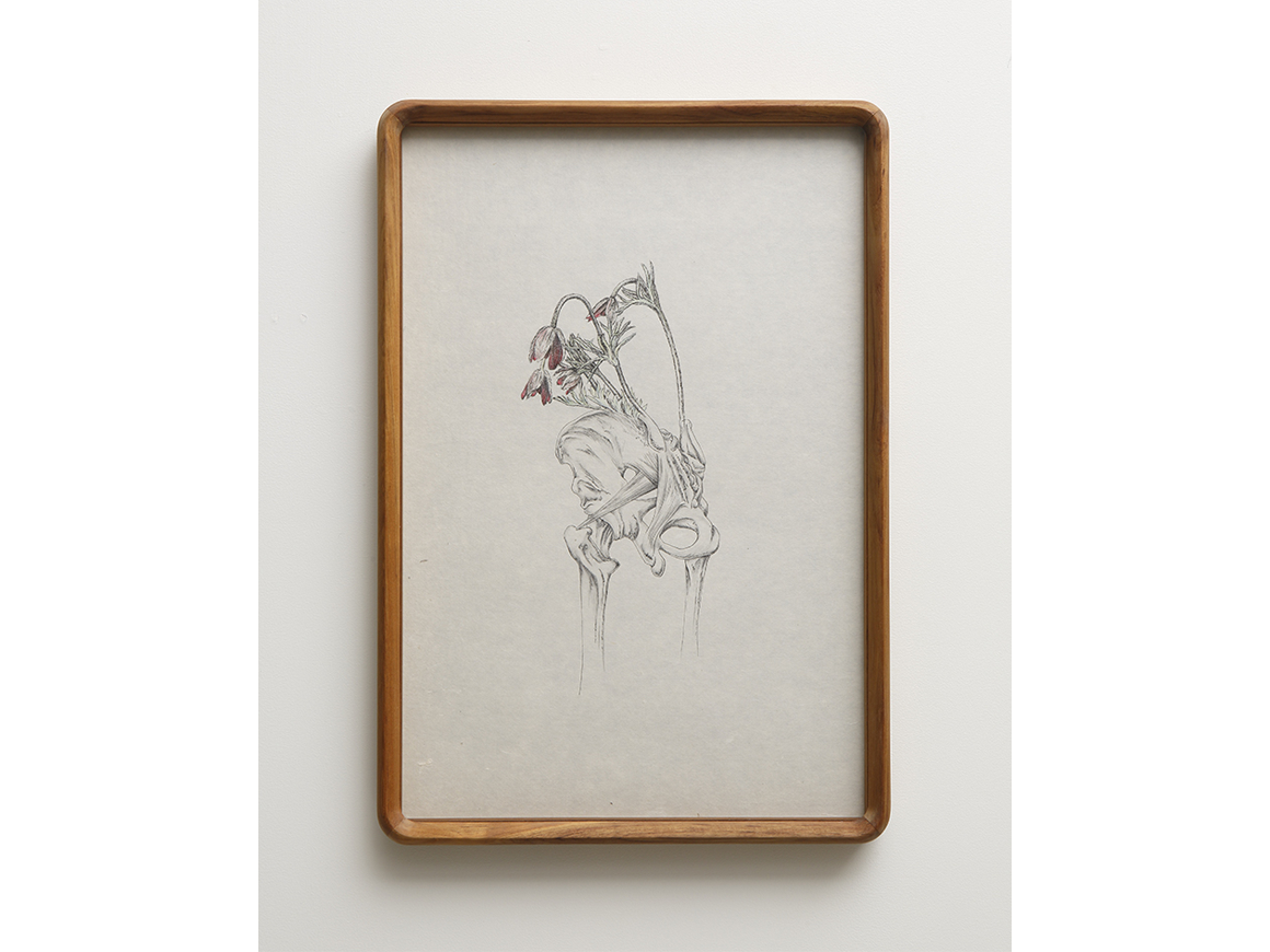 tabaimo_180210