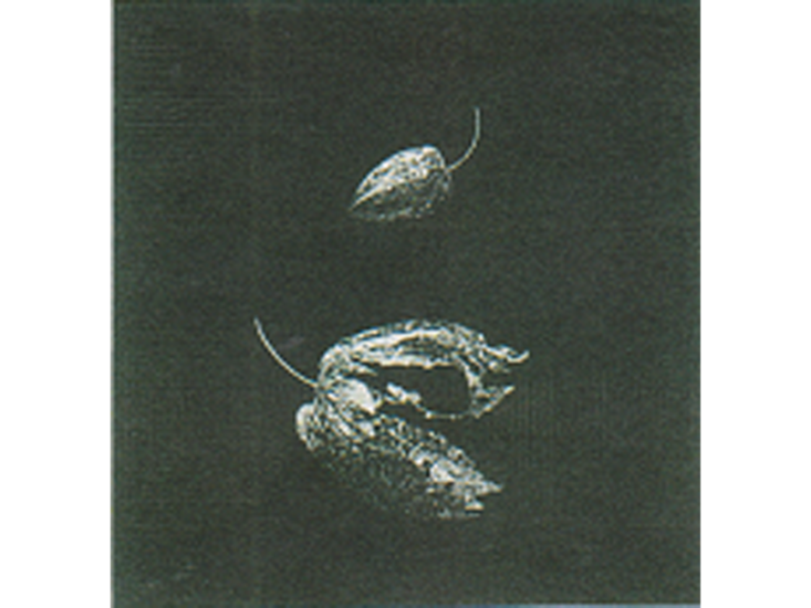 秀島由己男　詩画集「静物考」winter cherry　1985