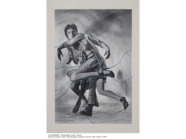オノデラユキ　"Muybridge's Twist", No.21　2019