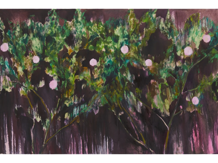 佐藤翠　Autumn Rose　2017-2018