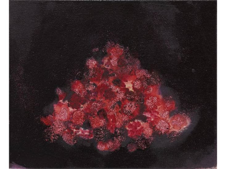 佐藤翠　Chardin Fraises des bois　2017-2018
