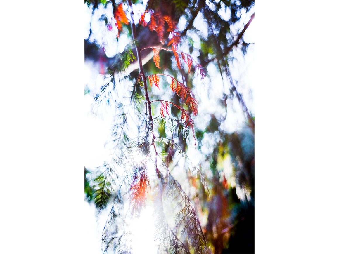 yosuketakeda_160514_01