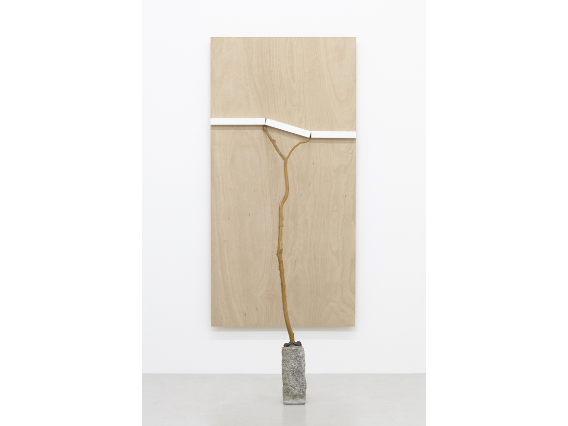 kishiosuga_151114_01