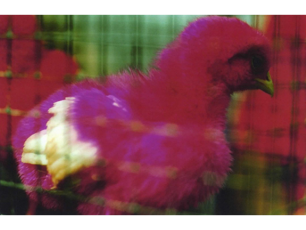 mikaninagawa_150204_01