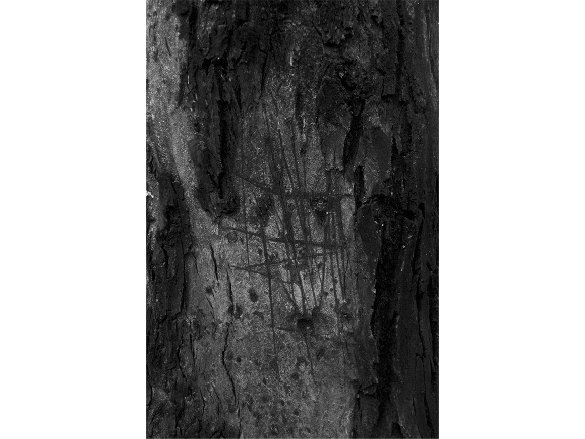 mariogarciatorres_151031_01