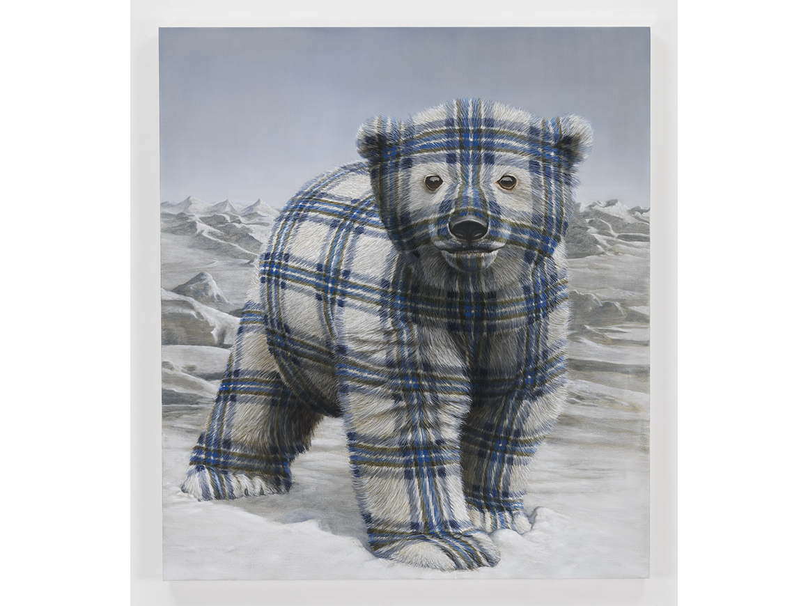 seanlanders_151205_01