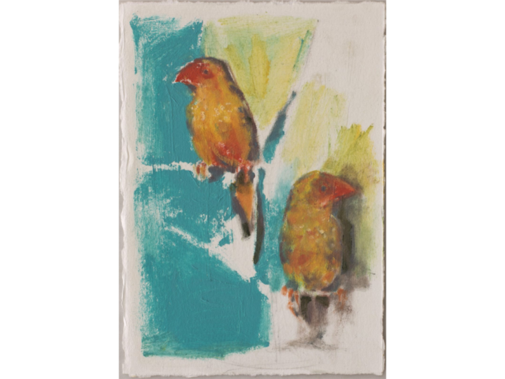 Hilmi Johandi　Two birds in a cage　2024