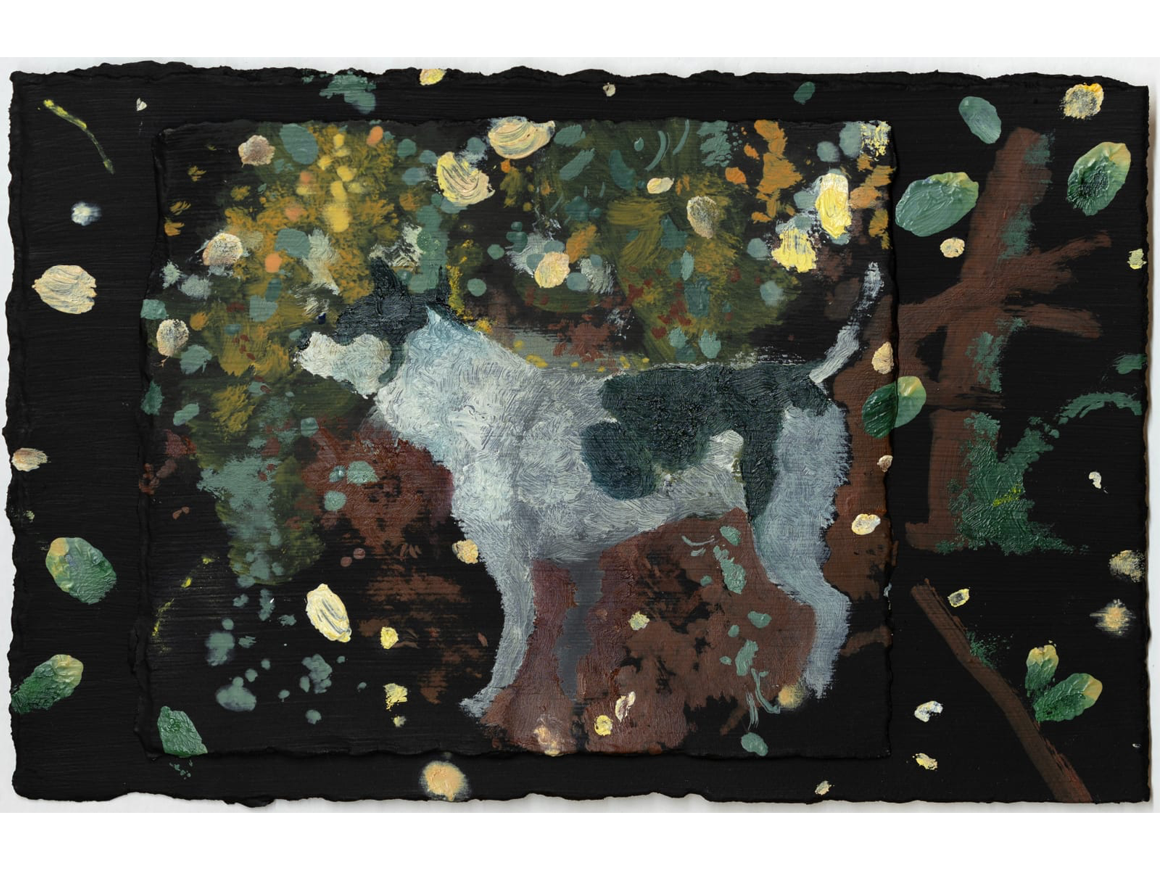 animalgarden_241213_04