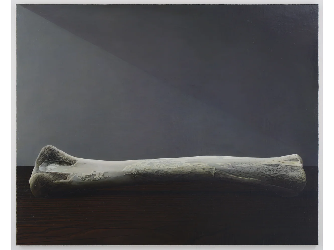 namiyokoyama_160617_01