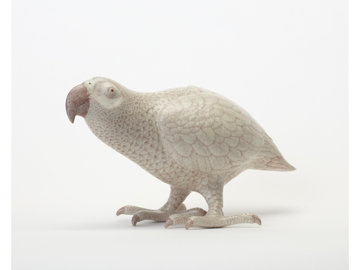 shoheifujita_141203_01