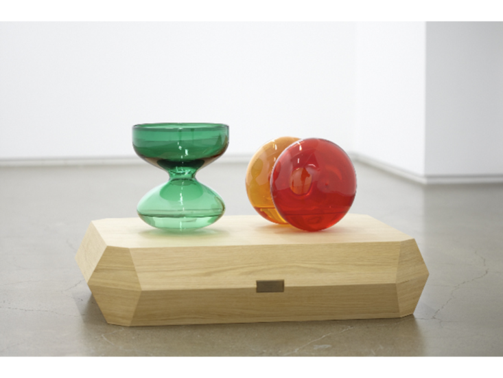 前田征紀　Way in, Way out 'Plants'　2011