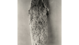 irvingpenn_140320_01