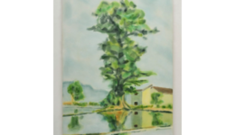 naofumimaruyama_250419_01