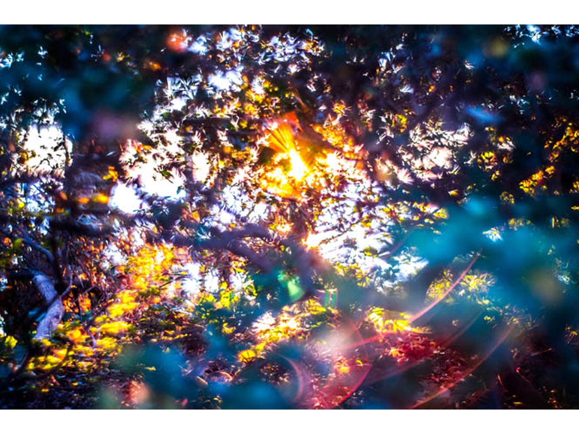 yosuketakeda_140322_01