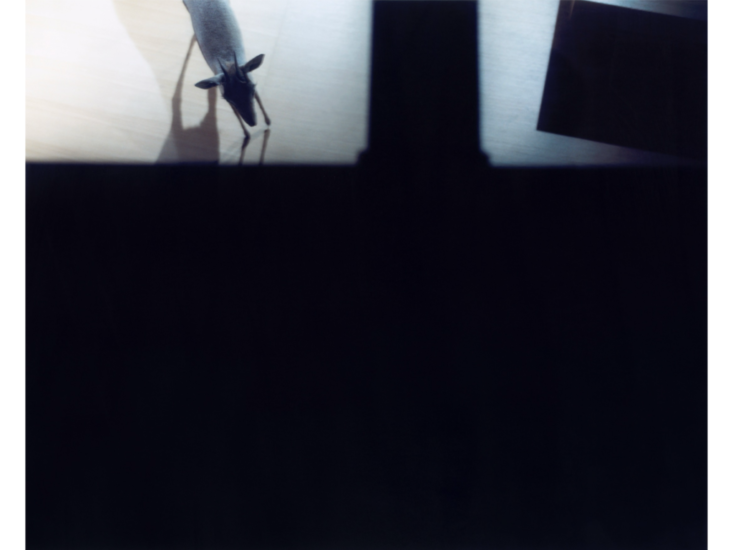 春木麻衣子　A certain composition of eyes 04　2014