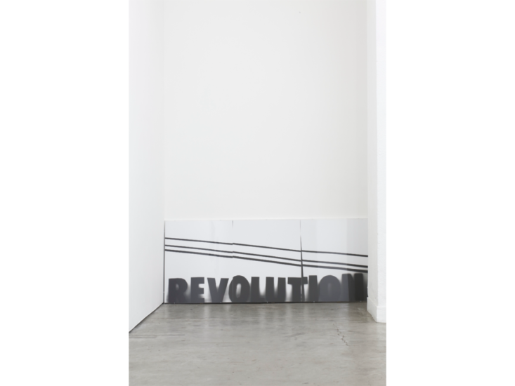 ホンマタカシ　Revolution　2013