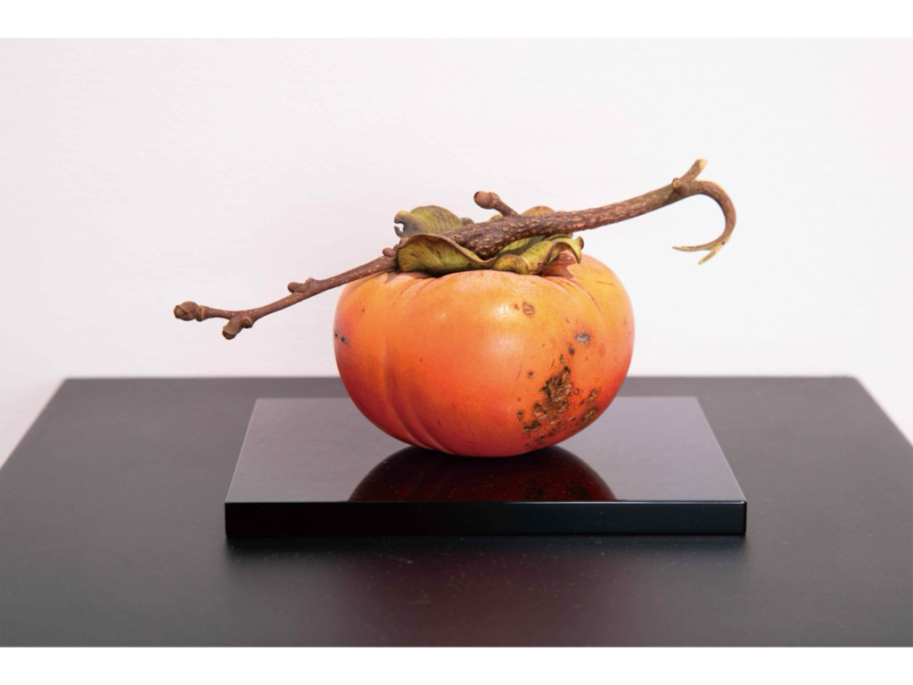 岩崎努 - art-index.net