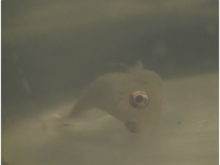 斎藤玲児　32　2024