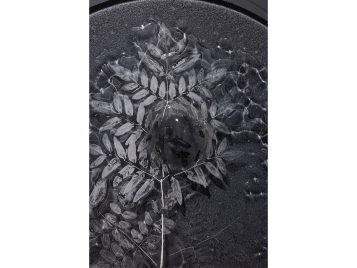 佐々木類　土地の記憶 / 庭掬い_01　2021（部分）