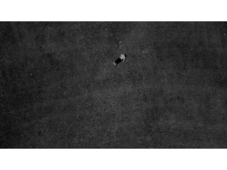 潘逸舟　Not Ocean　2024