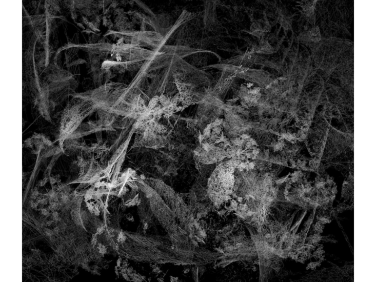 Moon Kyungwon & Jeon Joonho　Phantom Garden　2024-2025