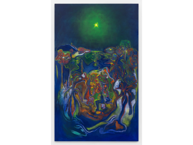 Alejandro Piñeiro Bello　La Estrella Que Nos Guíaba Tambien Desapareció, Señora, Señora　2025