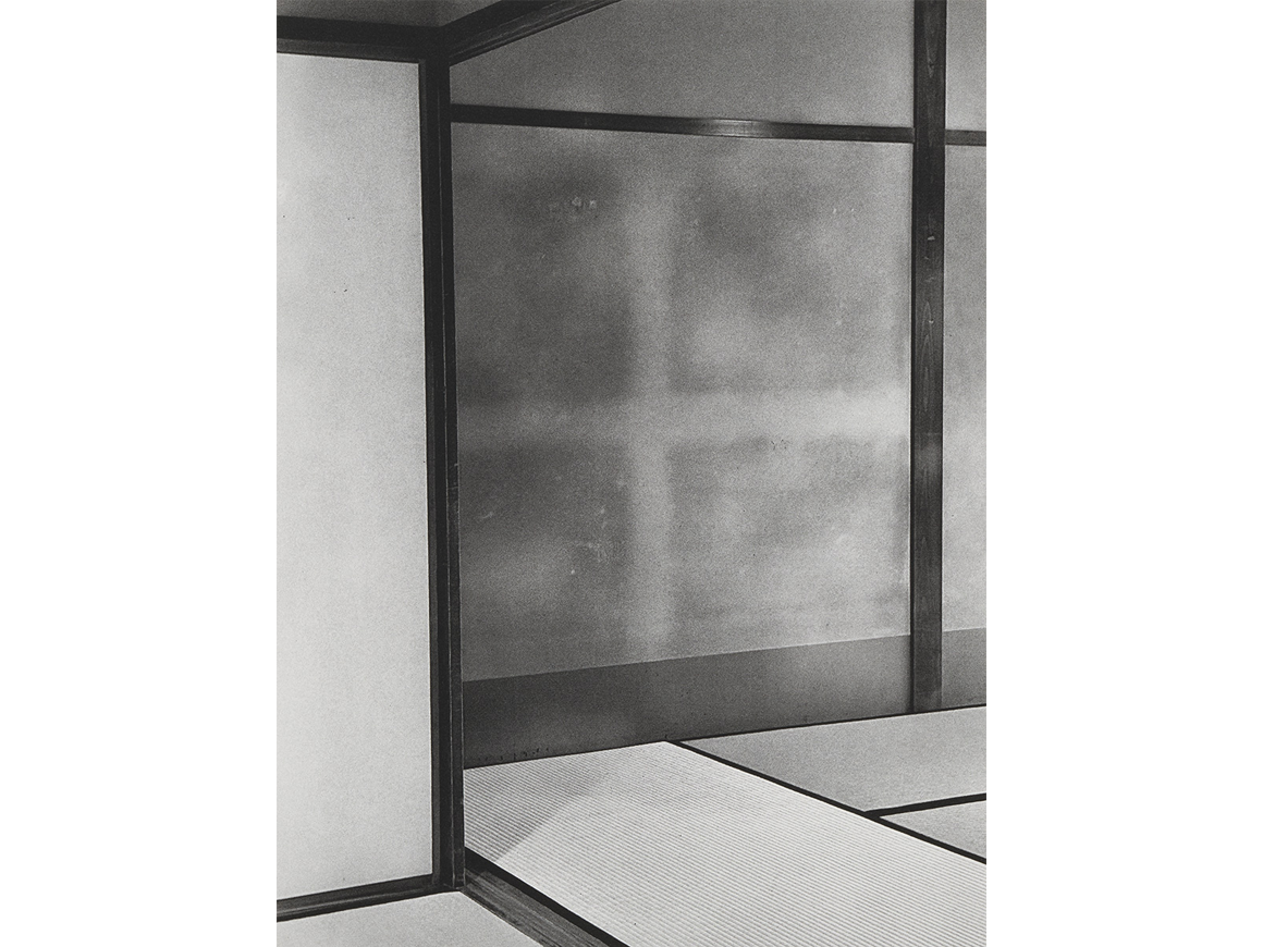 cerithwynevans_250503_02