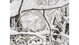 dialoguemanual_251105