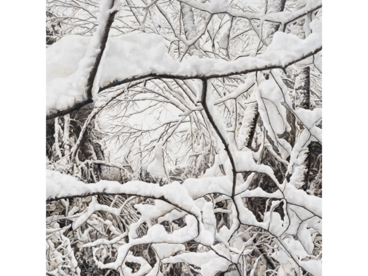 Moon Kyungwon　Soft Curtain_White Ⅱ　2025