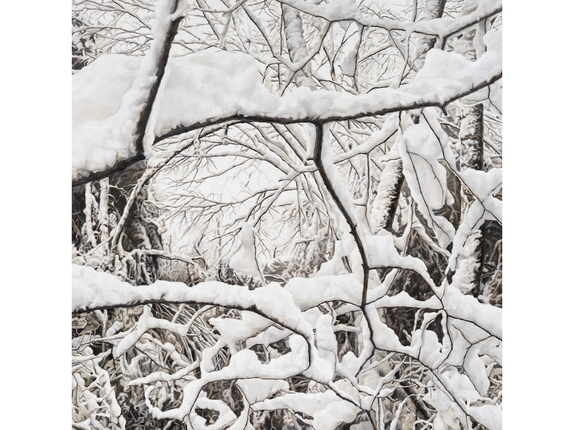 dialoguemanual_251105