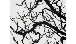 galleryartistshow_251003_01