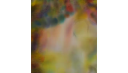 kentaroyokouchi_250912