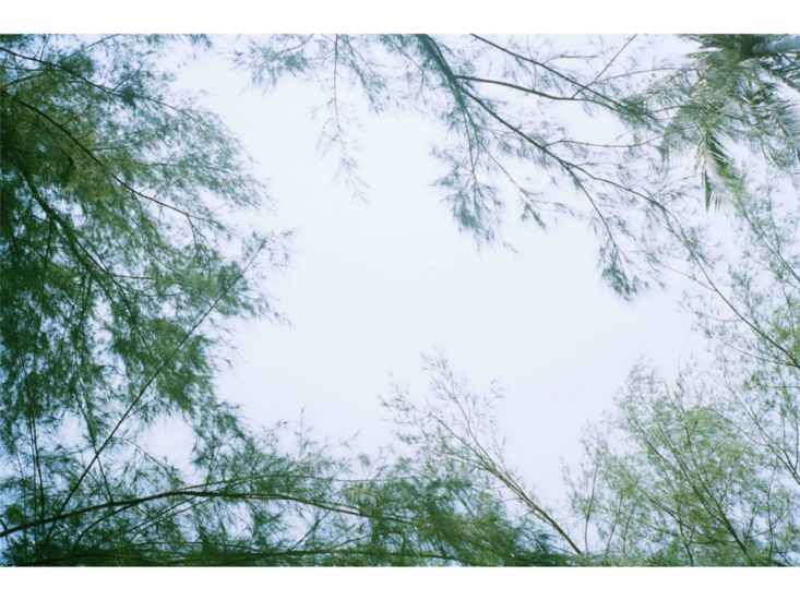 miemorimoto_250809_04