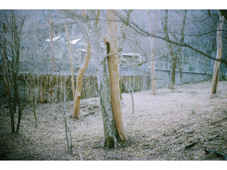 miemorimoto_250809_05