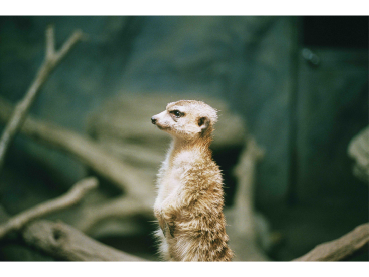 miemorimoto_250809_06