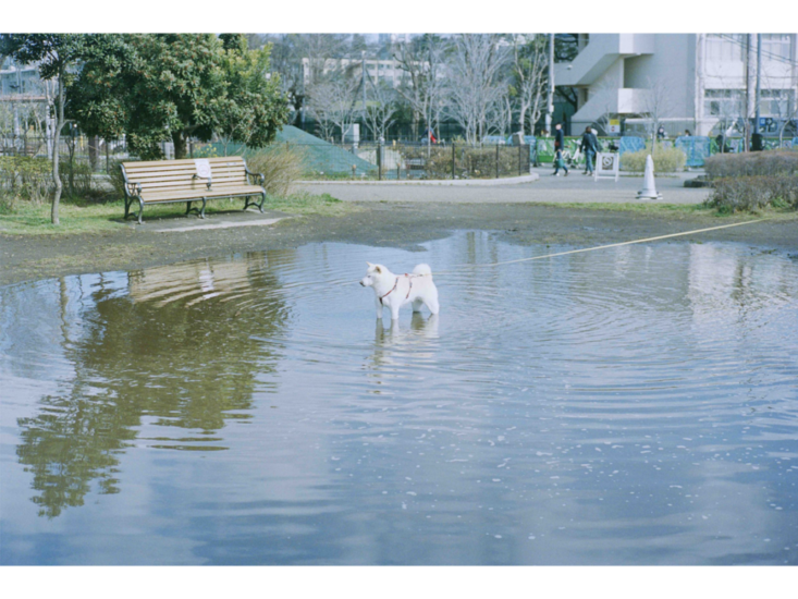 miemorimoto_250809_07