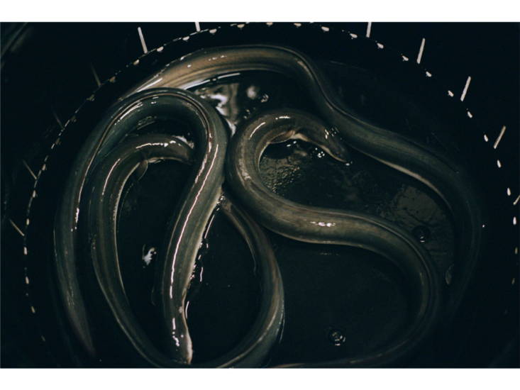 miemorimoto_250809_08