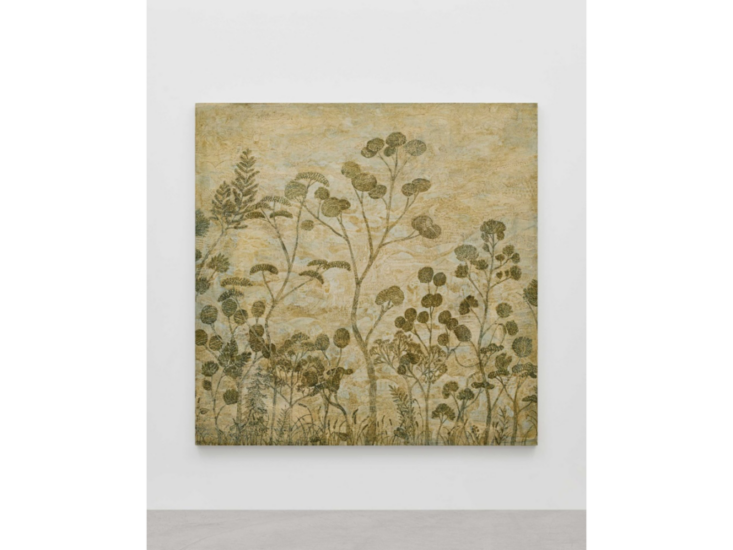 風能奈々　魚の種、果物の骨、時間が経つと忘れてしまう　2025