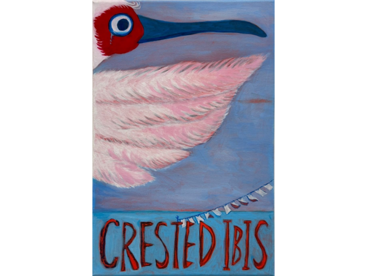 BuBu De La Madeleine　Pink is the color of the Japanese crested ibil_001　2025