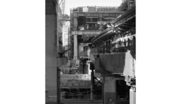 ryujimiyamoto_251101_01