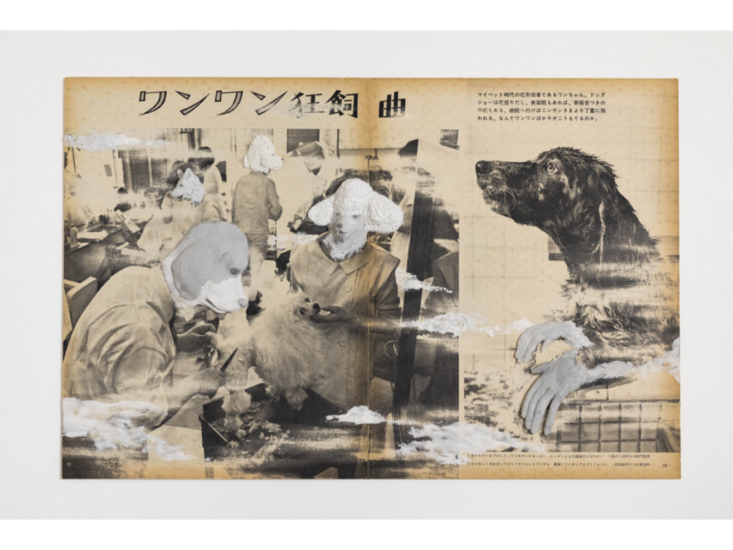 入江早耶　東京物語（白犬の祈誓）　2025