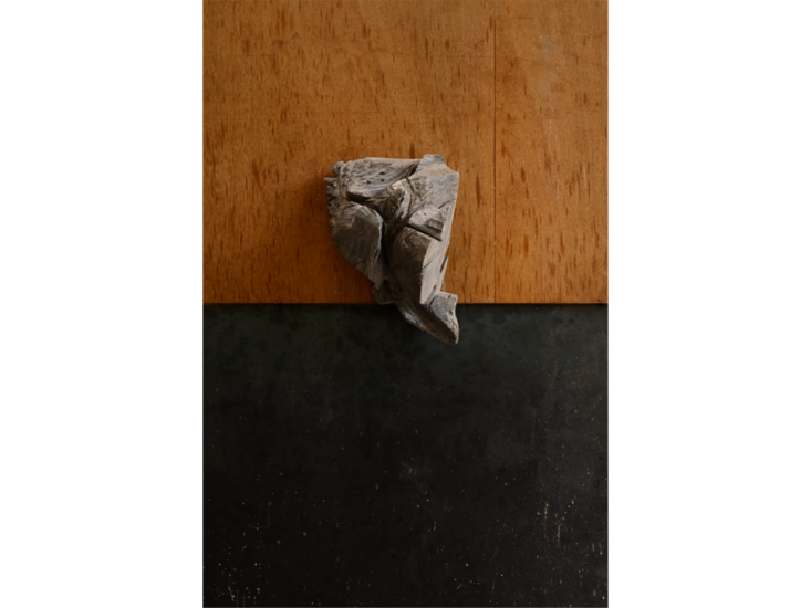 戸谷成雄　視線体：半彫刻 1　2025