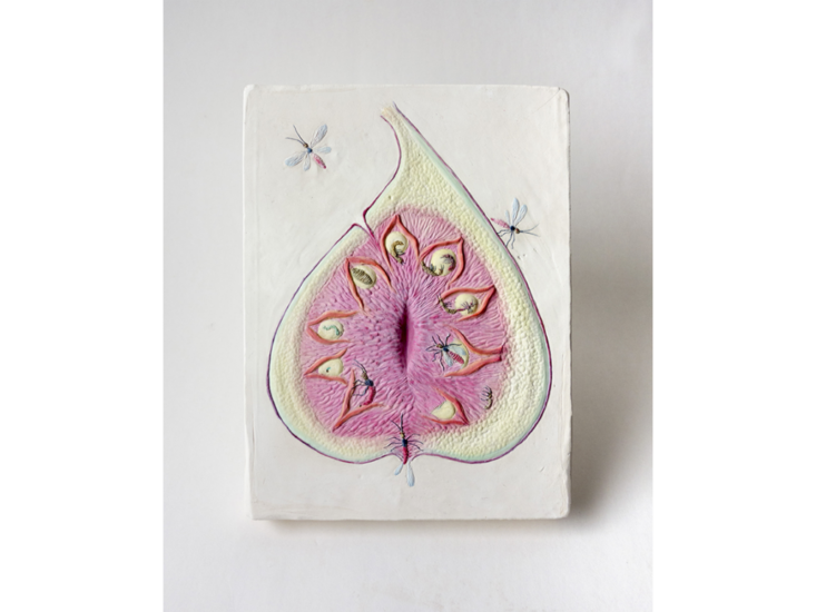 Clara Spilliaert　Figwasp　2022