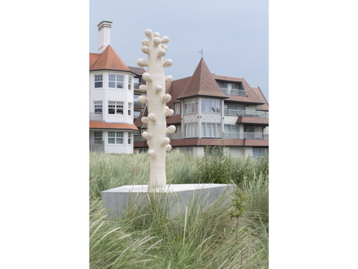 Clara Spilliaert　Spruit-Stamboom　参考図版