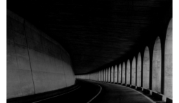 toshiyamurakoshi_251219_01